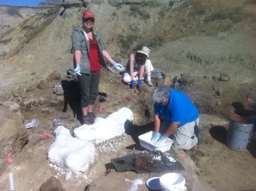 10540883_10100925906817723_5942282489871577113_n